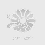 قيمت بالابر خانگي 